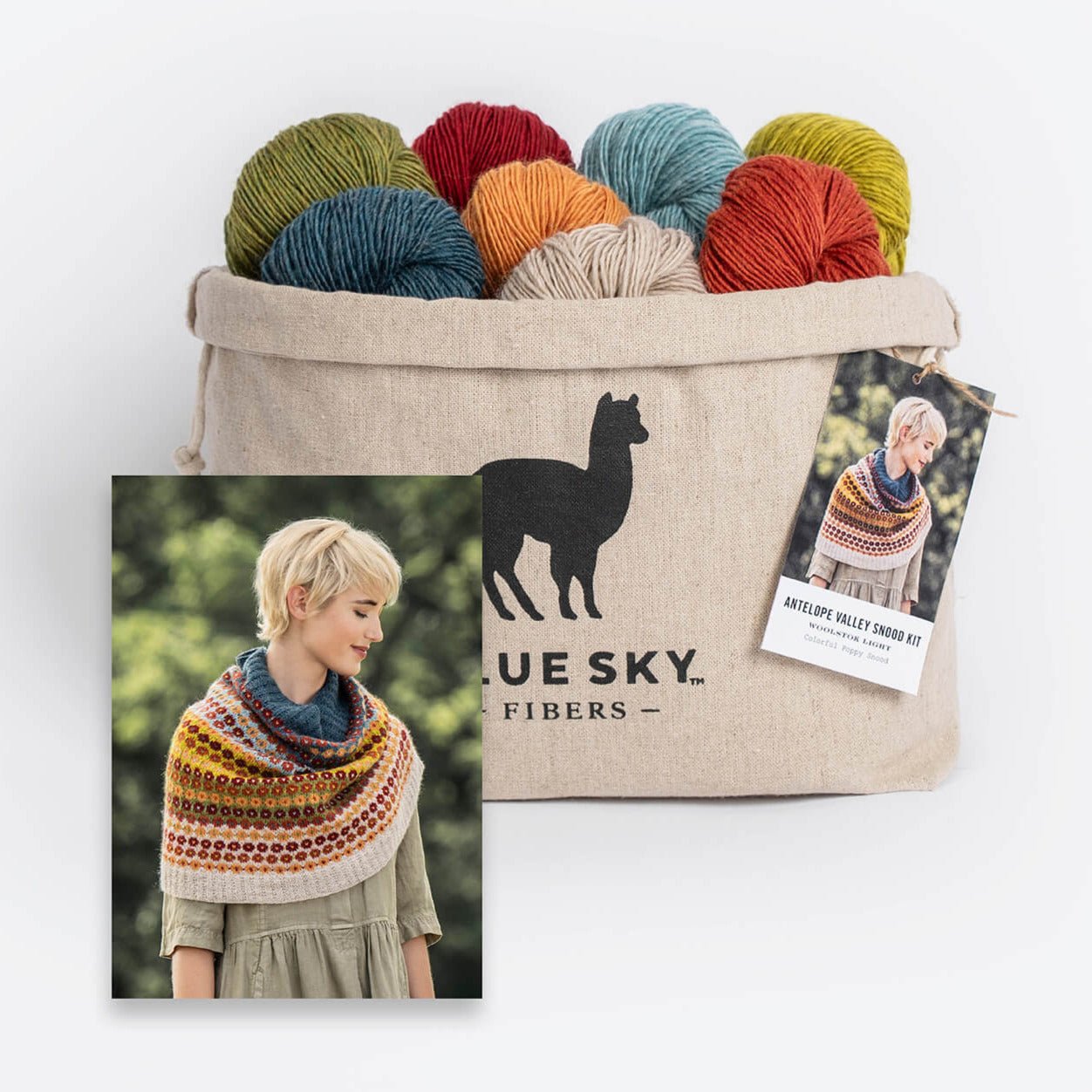Blue Sky Fibers Antelope Valley Snood Kit - Blue Sky Fibers - The Little Yarn Store