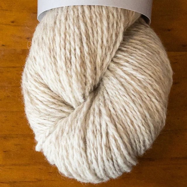 Outlaw Yarn Rebel Light - The Little Yarn Store